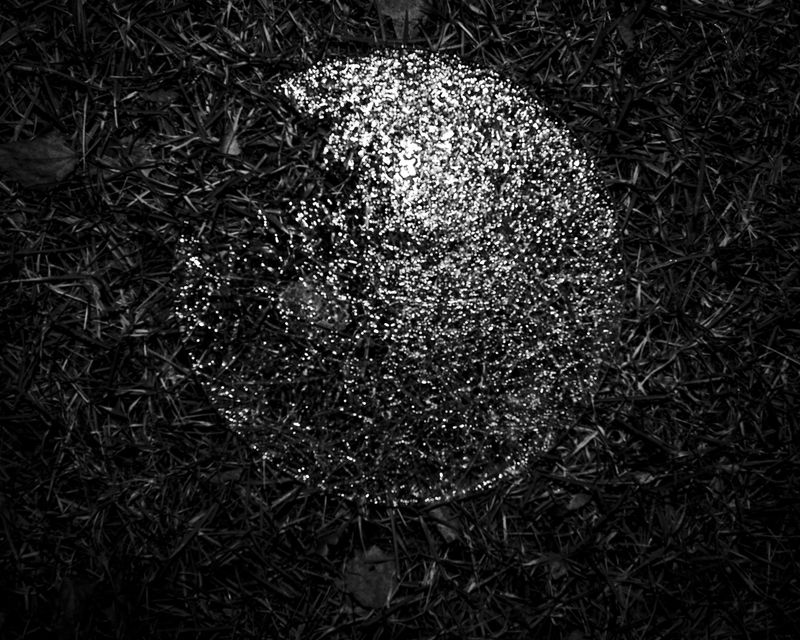 © Charlie Simokaitis - Image from the The Crisis Tapes photography project