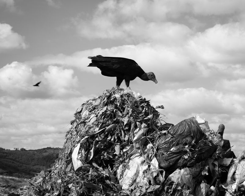 © Charlie Simokaitis - Image from the The Crisis Tapes photography project