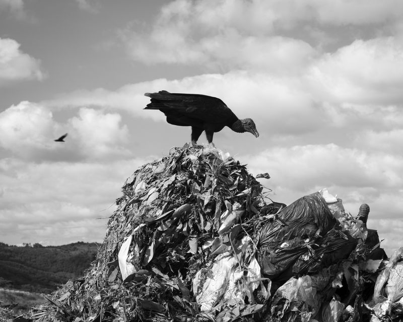 © Charlie Simokaitis - Image from the The Crisis Tapes photography project