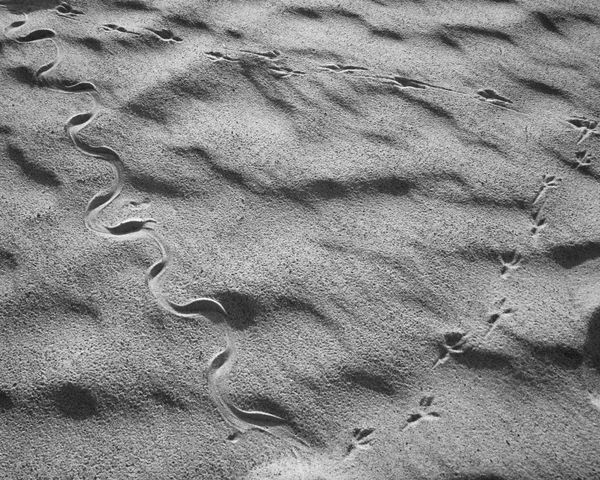 © Charlie Simokaitis - Image from the The Crisis Tapes photography project