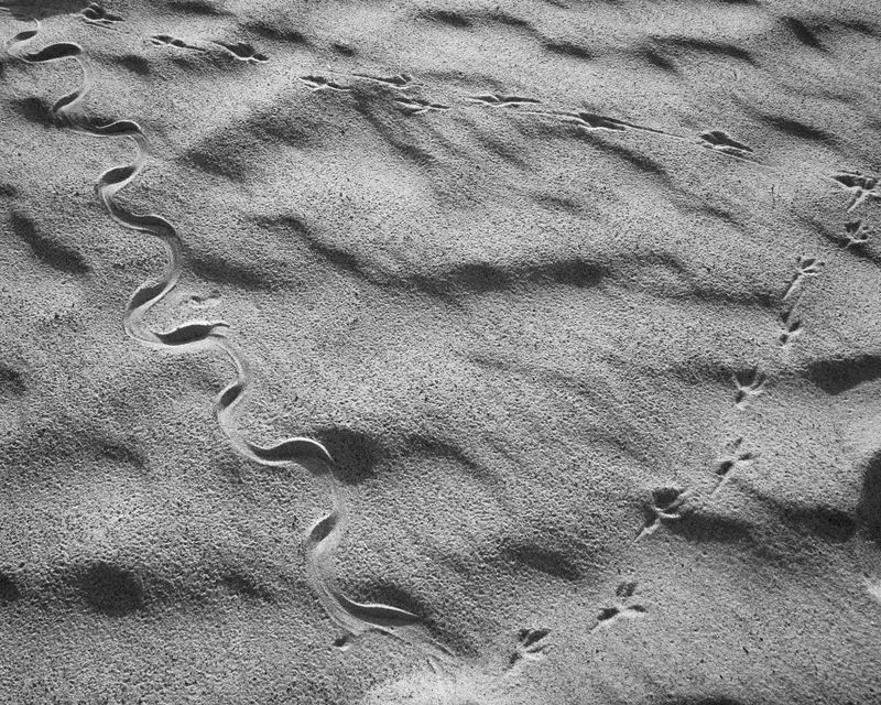 © Charlie Simokaitis - Image from the The Crisis Tapes photography project