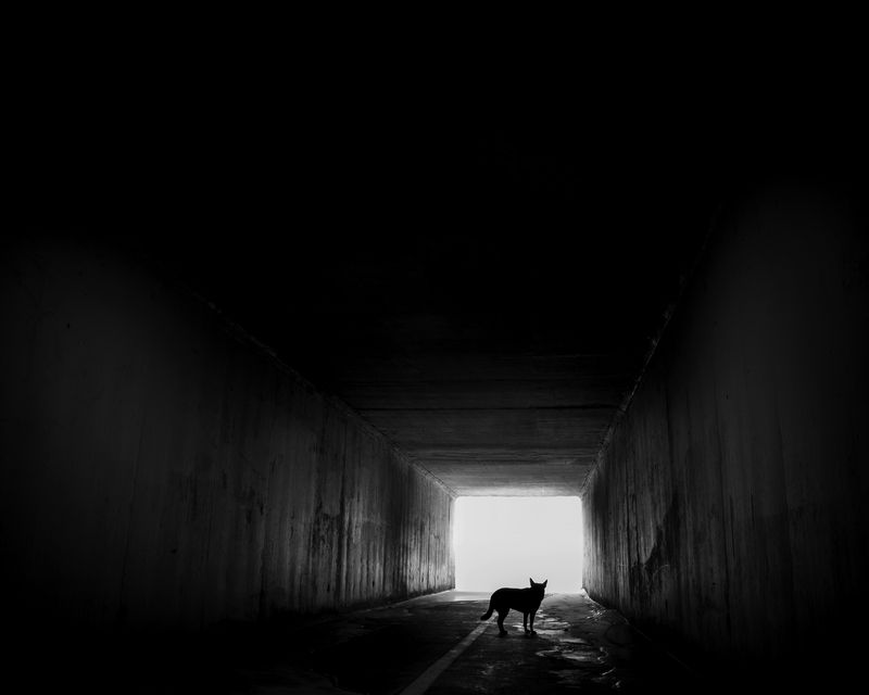 © Charlie Simokaitis - Image from the The Crisis Tapes photography project