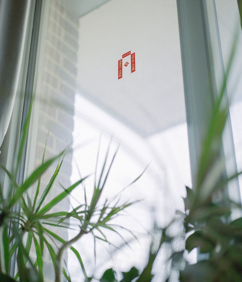 © Yulai Xu - Image from the Fish Tail photography project