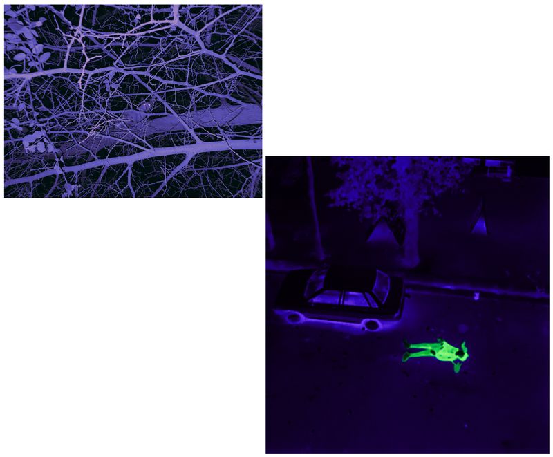 © Mehrdad Mosaferi - A young life silenced by a direct shot in the streets, yet courage echoes louder than the violence that sought to erase it.