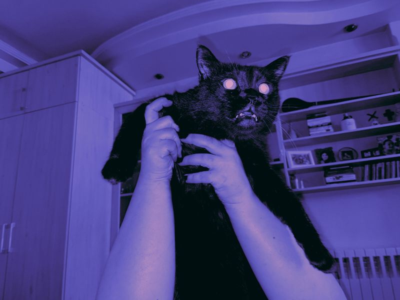 © Mehrdad Mosaferi - The witness watches the truth as it unfolds, for the day it will testify before Justice.