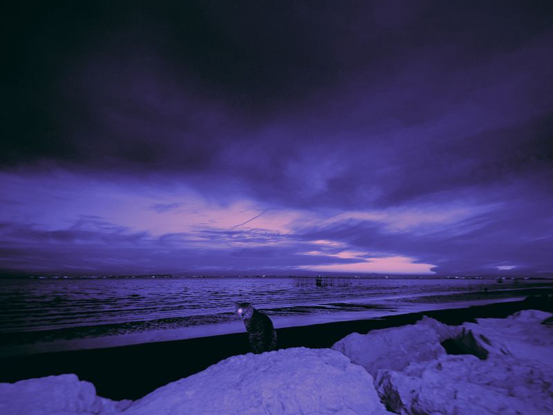 © Mehrdad Mosaferi - The witness, like the Lady of Justice, sees without eyes — and remembers without compromise.