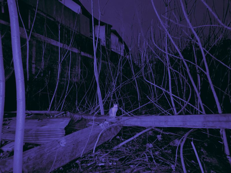 © Mehrdad Mosaferi - Being a witness means remembering, even when evidence is destroyed and memory is obliterated.