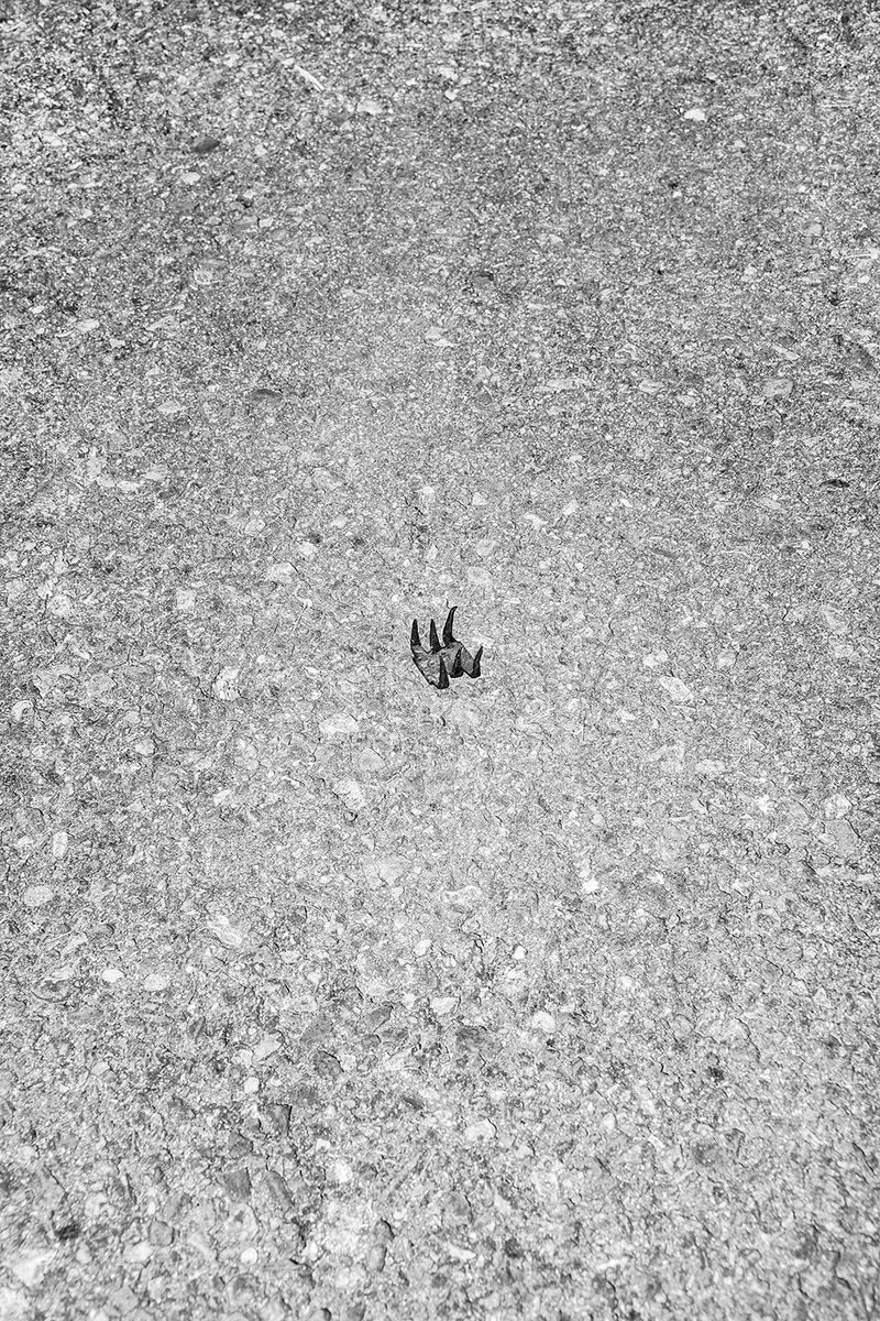 © Thomas Brasey - Image from the LIBRE photography project