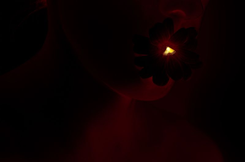 © Desyree Valdiviezo - Image from the Guarida líquida photography project
