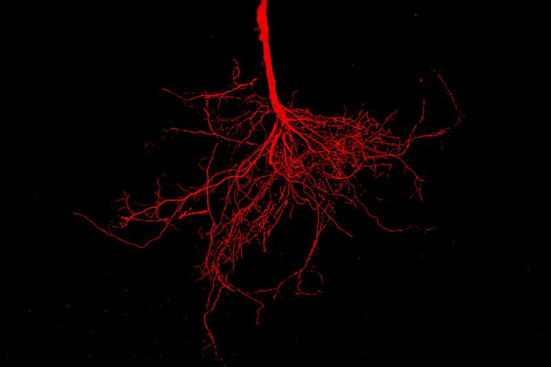 © Desyree Valdiviezo - Image from the Guarida líquida photography project