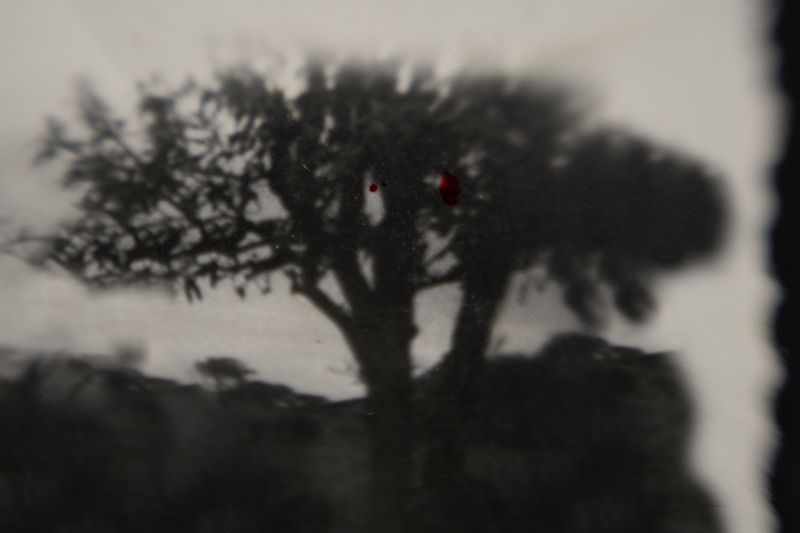 © Desyree Valdiviezo - Image from the Guarida líquida photography project