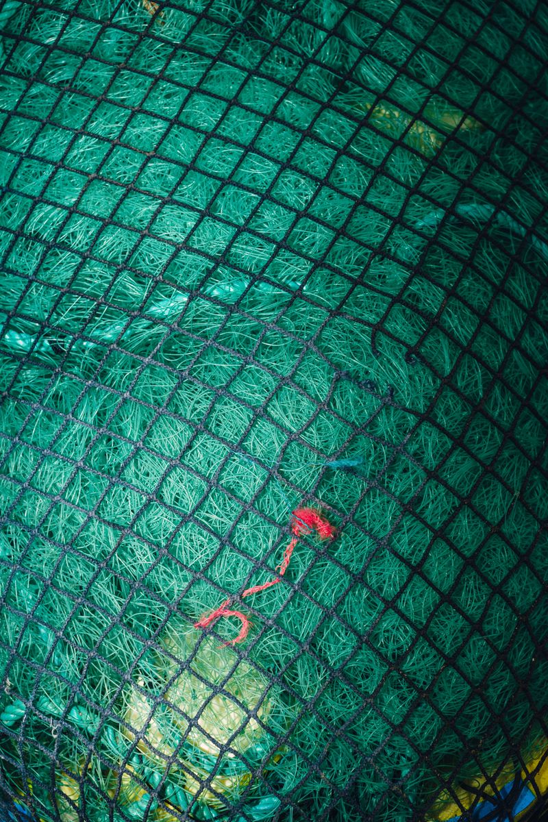 © Desyree Valdiviezo - Image from the La mar photography project