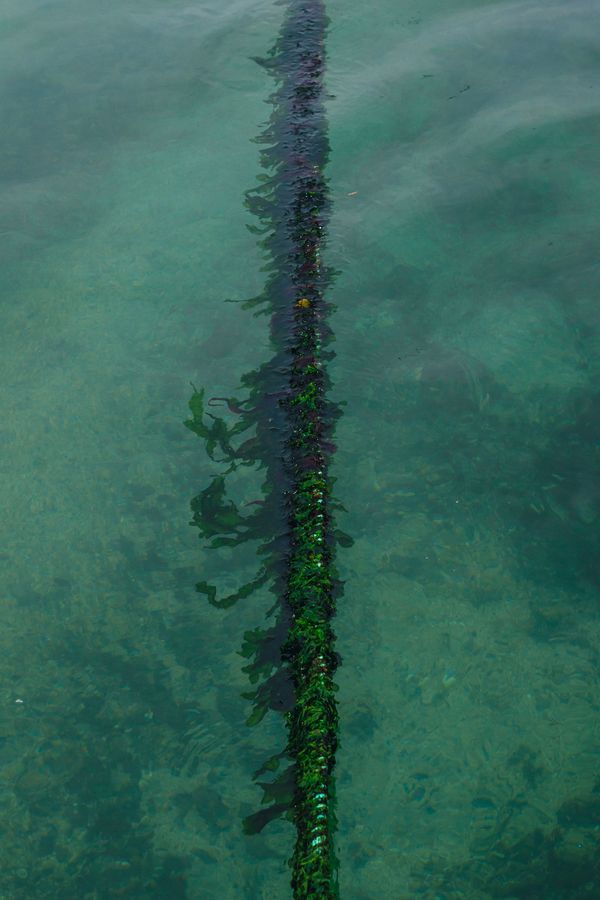 © Desyree Valdiviezo - Image from the La mar photography project