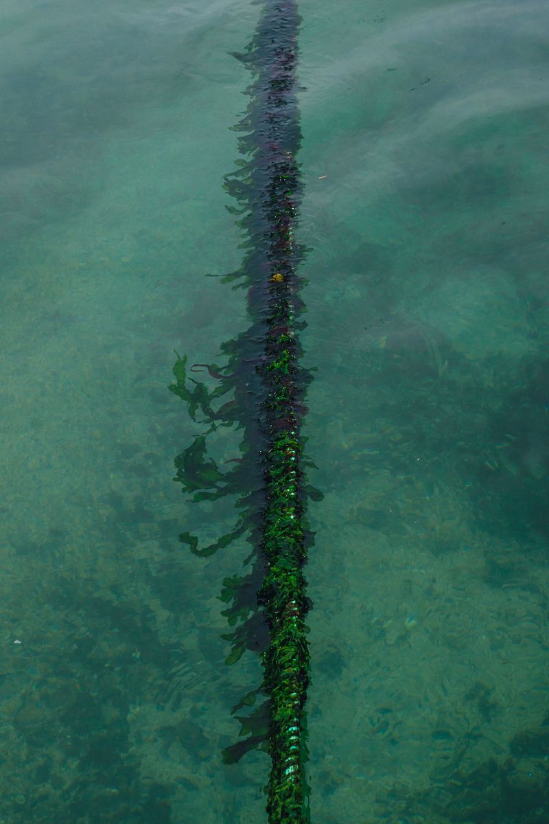 © Desyree Valdiviezo - Image from the La mar photography project