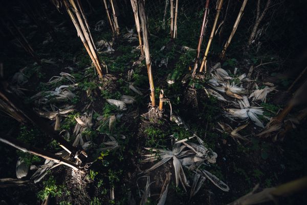 © Desyree Valdiviezo - Image from the El primer llanto photography project