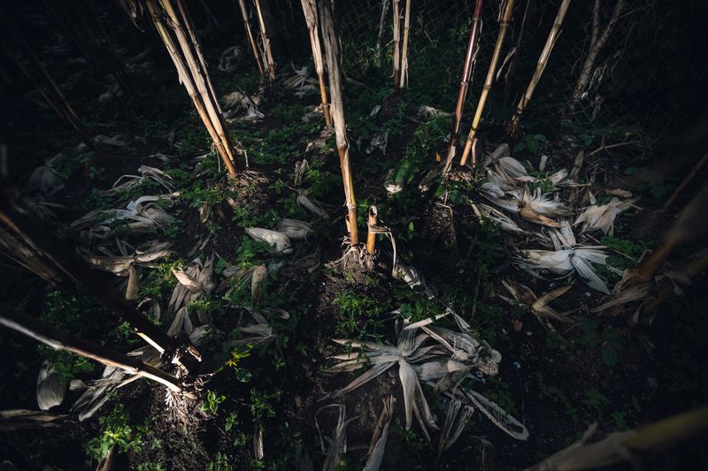 © Desyree Valdiviezo - Image from the El primer llanto photography project