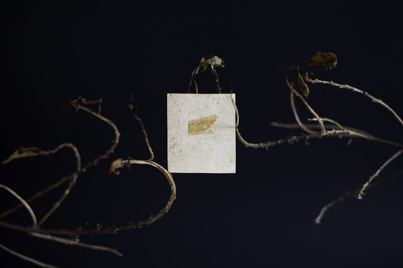 © Desyree Valdiviezo - Image from the Guarida líquida photography project