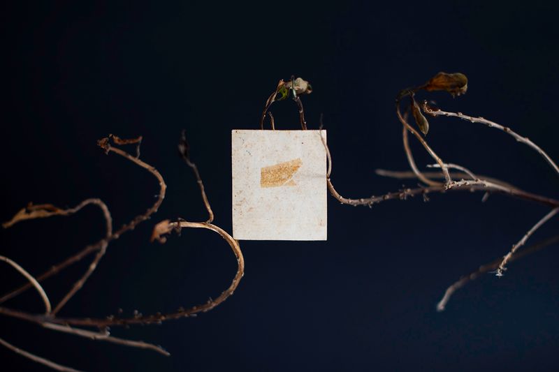 © Desyree Valdiviezo - Image from the Guarida líquida photography project