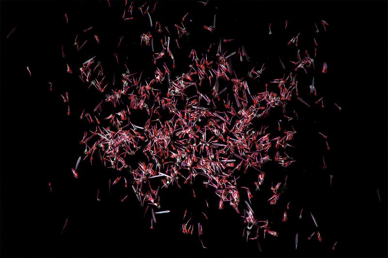 © Desyree Valdiviezo - Image from the Guarida líquida photography project