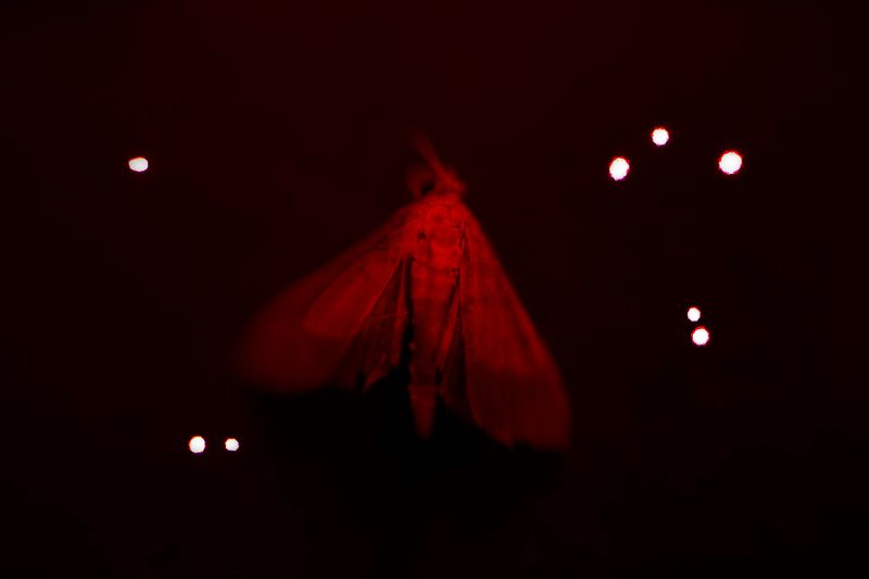 © Desyree Valdiviezo - Image from the Guarida líquida photography project