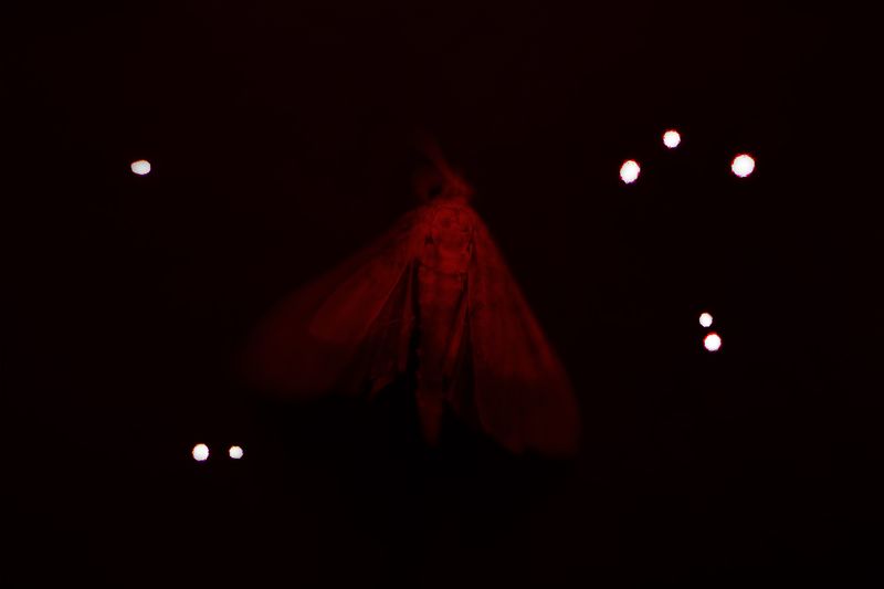 © Desyree Valdiviezo - Image from the Guarida líquida photography project