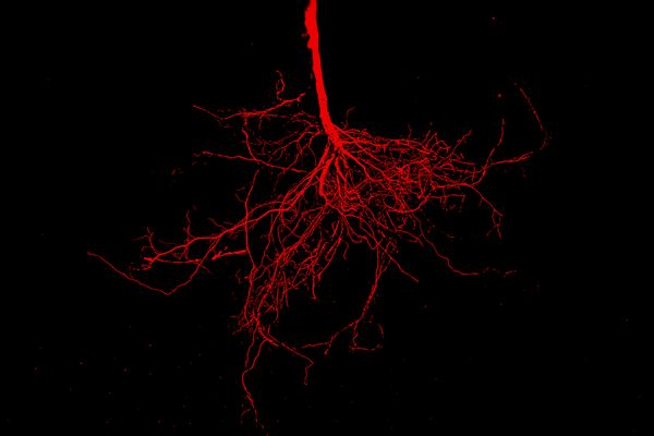 © Desyree Valdiviezo - Image from the Guarida líquida photography project