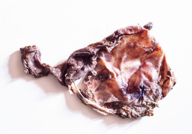 © Grace Hoyle - Image from the The Heal is Real photography project