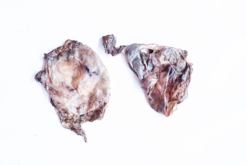 © Grace Hoyle - Image from the The Heal is Real photography project