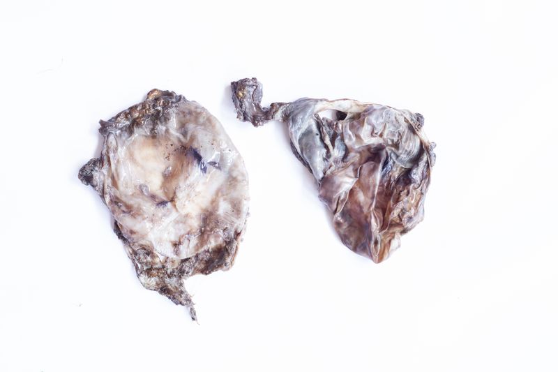 © Grace Hoyle - Image from the The Heal is Real photography project