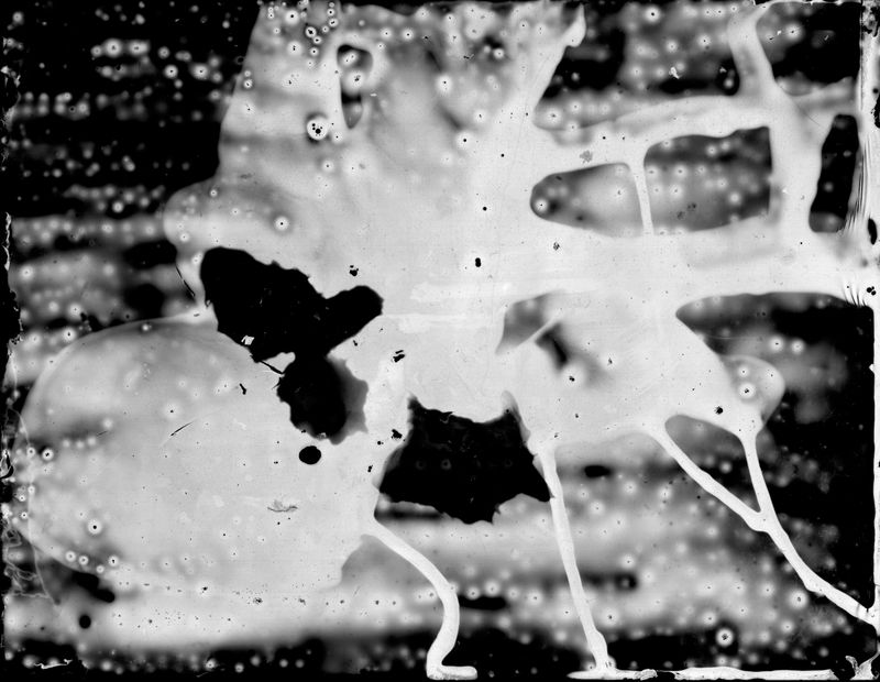 © Grace Hoyle - Image from the UNtitled Project (in process) photography project