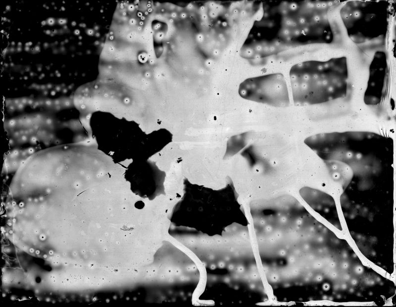© Grace Hoyle - Image from the UNtitled Project (in process) photography project