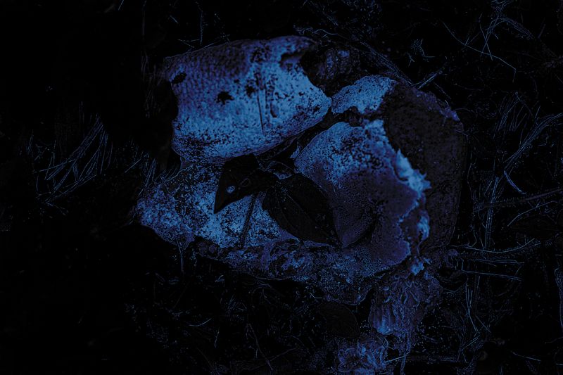 © Grace Hoyle - Image from the Bigger Problems photography project