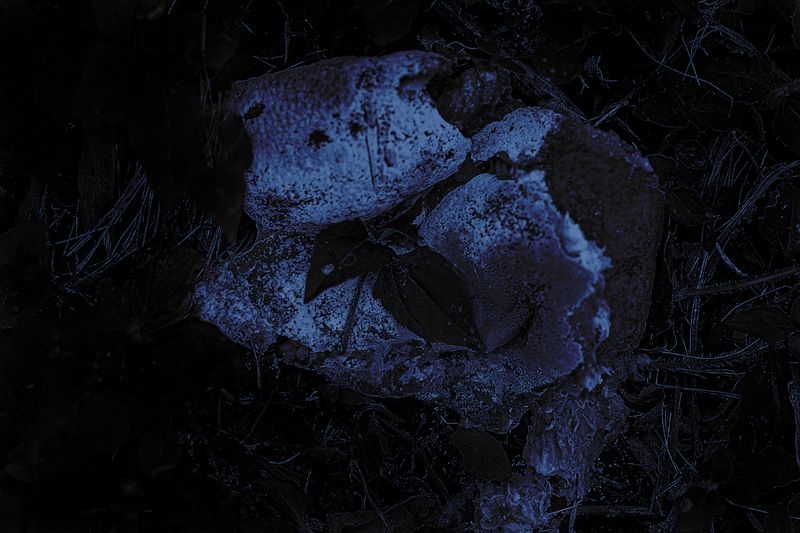 © Grace Hoyle - Image from the Bigger Problems photography project