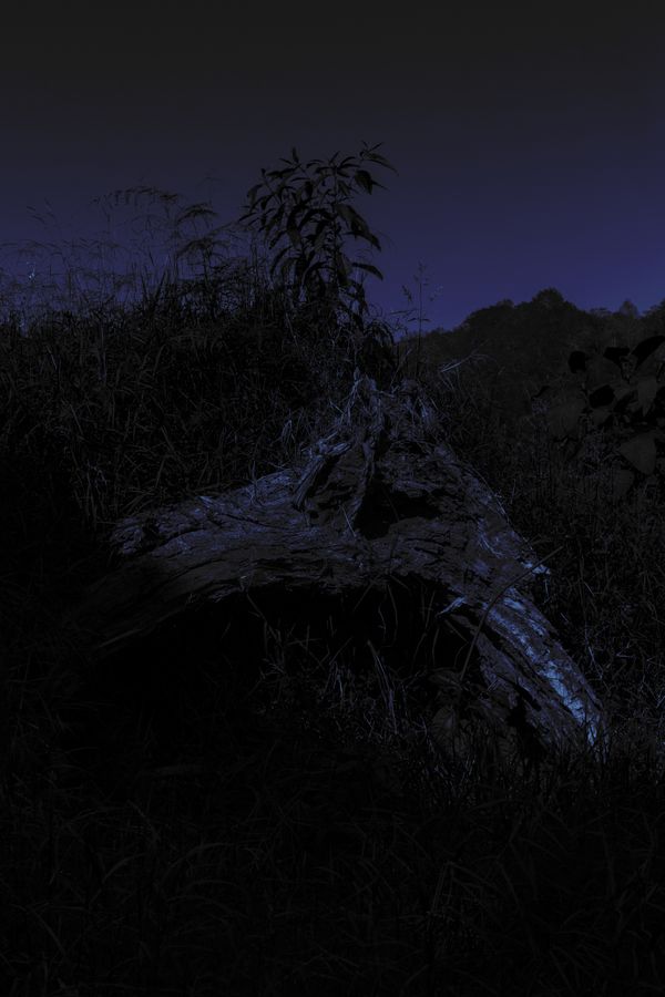© Grace Hoyle - Image from the Bigger Problems photography project