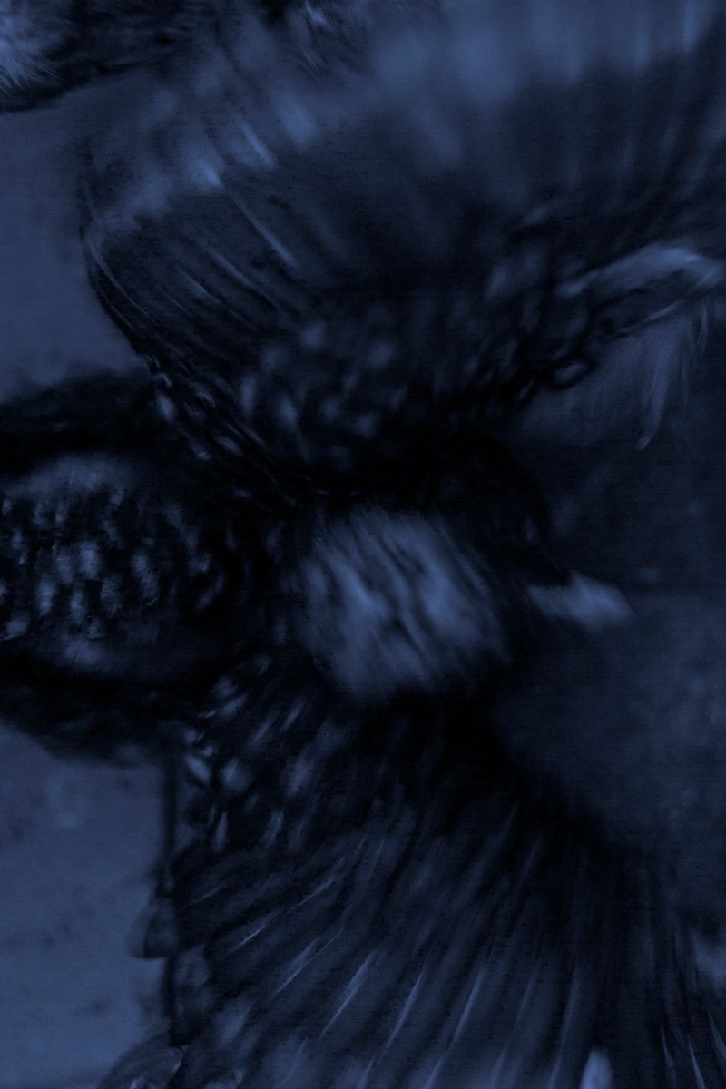 © Grace Hoyle - Image from the Bigger Problems photography project