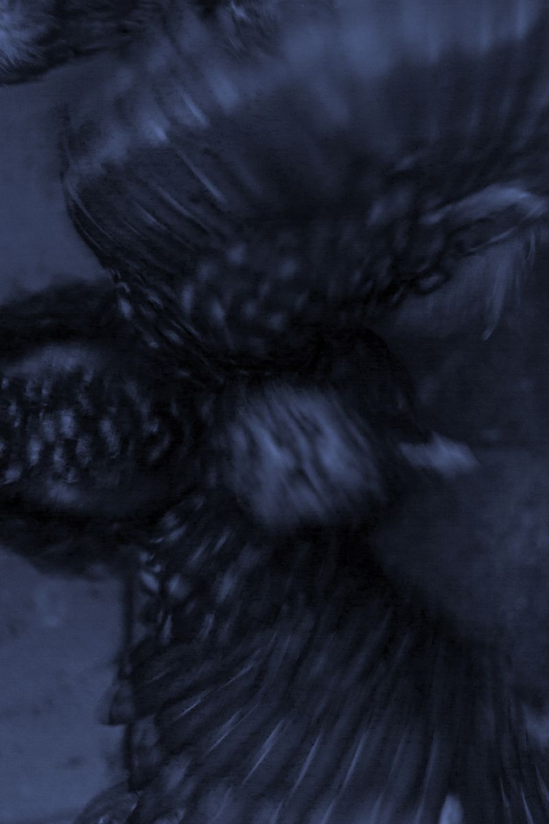 © Grace Hoyle - Image from the Bigger Problems photography project