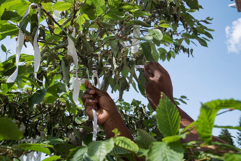 © Diana Bagnoli - Image from the The Cuban Brigade photography project