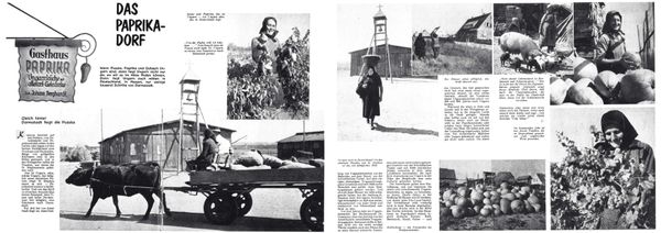 © Marcel Rauschkolb - Image from the The Paprika Village photography project