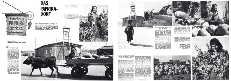 © Marcel Rauschkolb - Image from the The Paprika Village photography project