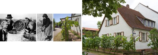 © Marcel Rauschkolb - Image from the The Paprika Village photography project