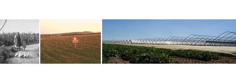 © Marcel Rauschkolb - Image from the The Paprika Village photography project