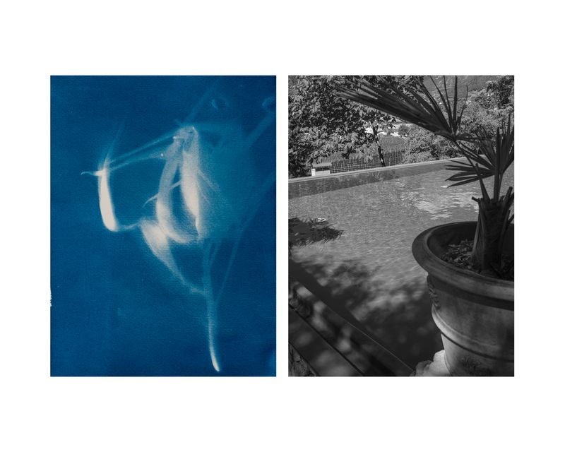 © Marcel Rauschkolb - Image from the The Garden photography project