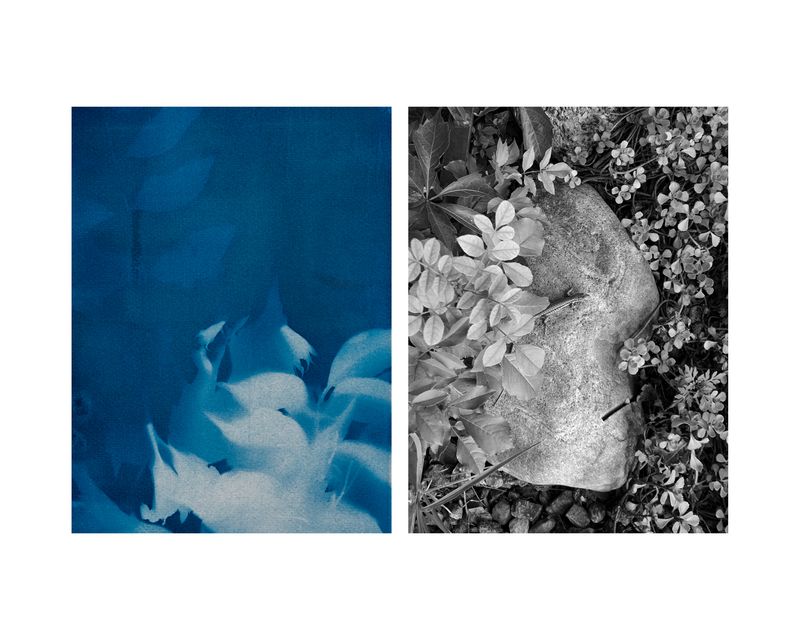 © Marcel Rauschkolb - Image from the The Garden photography project