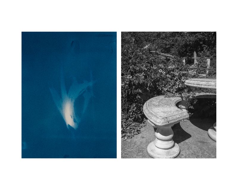 © Marcel Rauschkolb - Image from the The Garden photography project