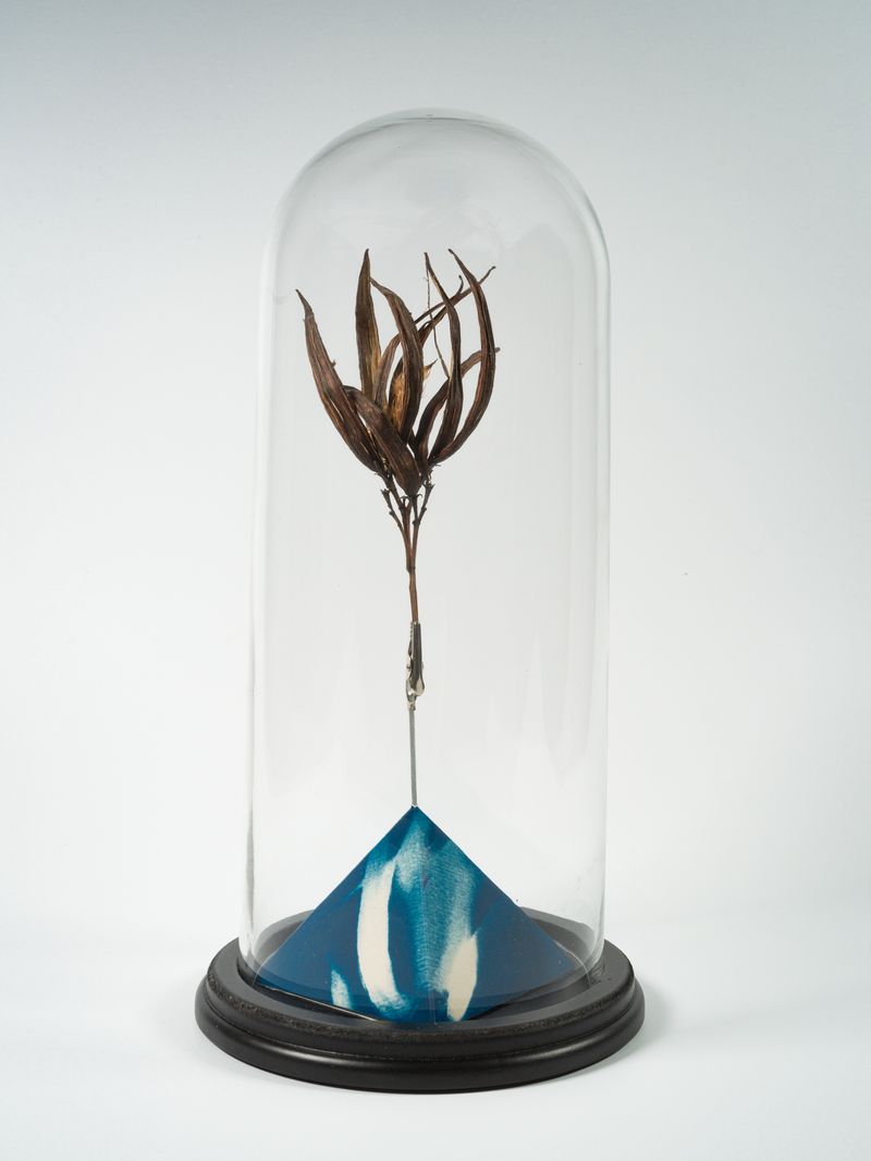 © Marcel Rauschkolb - Image from the The Garden photography project