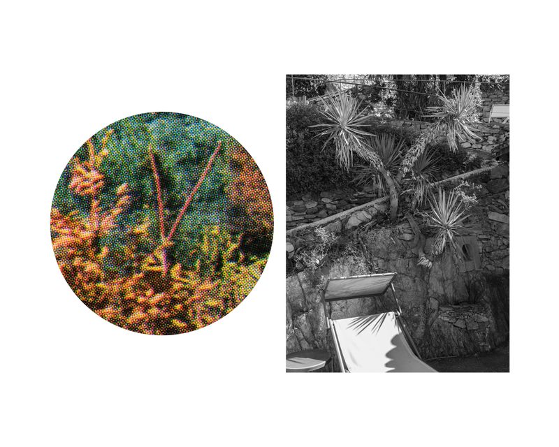 © Marcel Rauschkolb - Image from the The Garden photography project