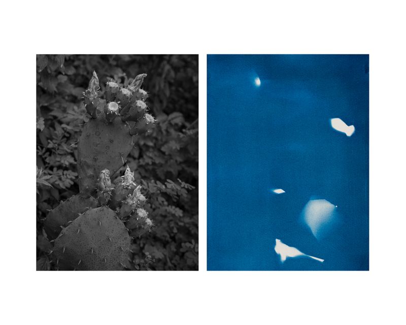 © Marcel Rauschkolb - Image from the The Garden photography project