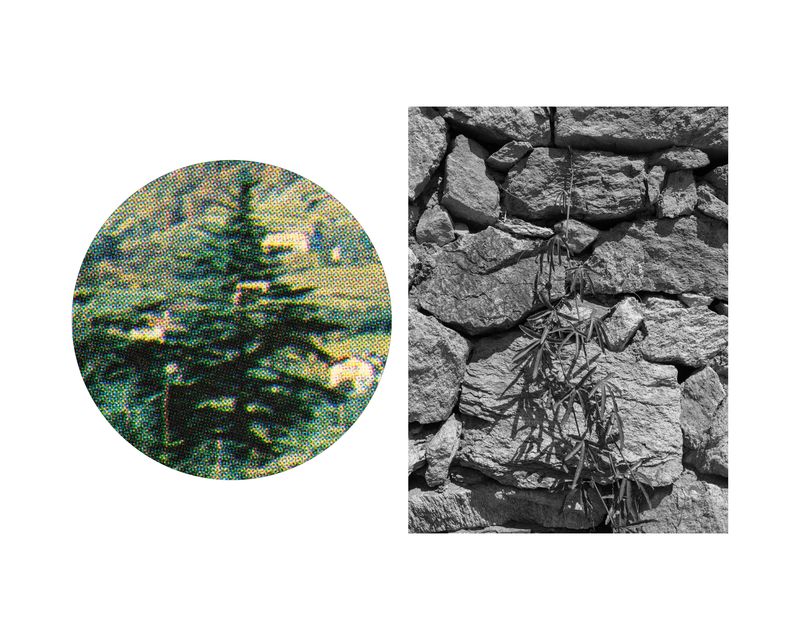 © Marcel Rauschkolb - Image from the The Garden photography project