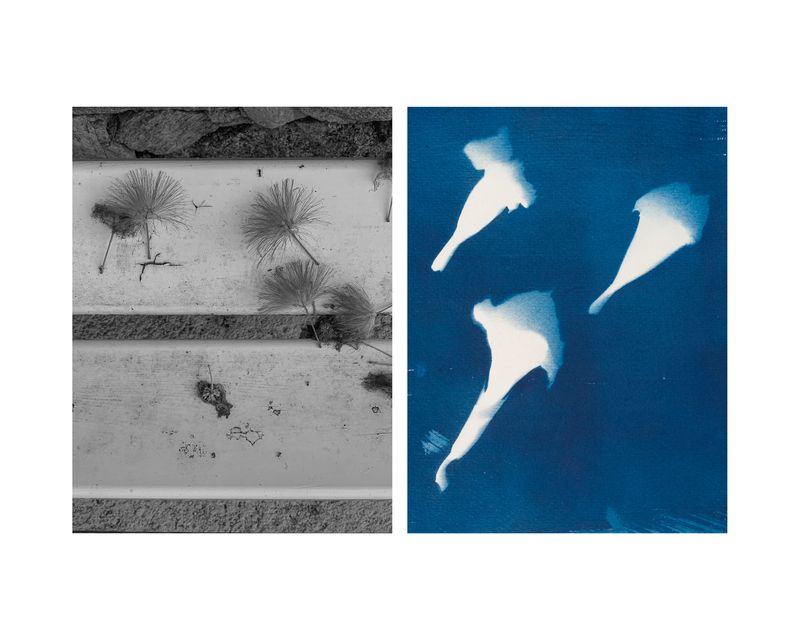 © Marcel Rauschkolb - Image from the The Garden photography project