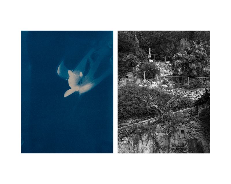 © Marcel Rauschkolb - Image from the The Garden photography project